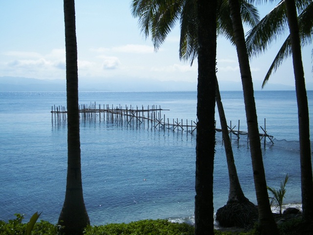 meer