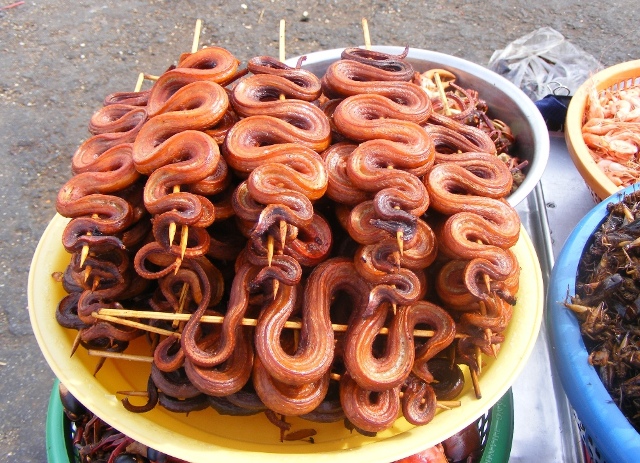 Sclangengrill
